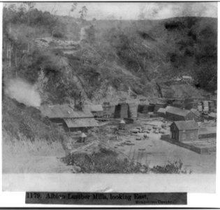 Albion Lumber Mills, looking East, Mendocino County LCCN2002723575