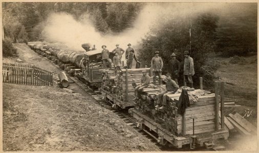 Albion, train with logs and ties graphic