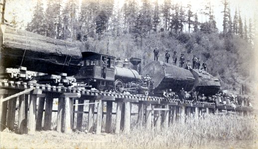 Albion Lumber Company's redwood logging railroad and their Baldwin 2-4-2T No. 1 'Albion' ca. 1890 photo