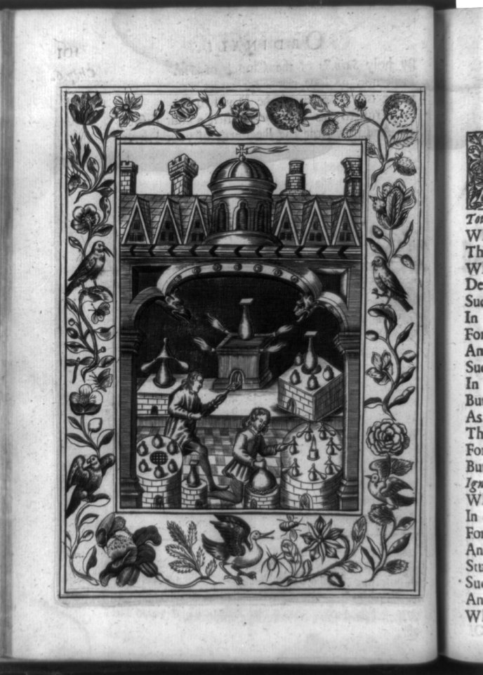 Alchemist and assistant in laboratory, with surrounding border of birds, flowers, and insects LCCN92517534