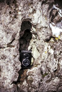 Film analog nature