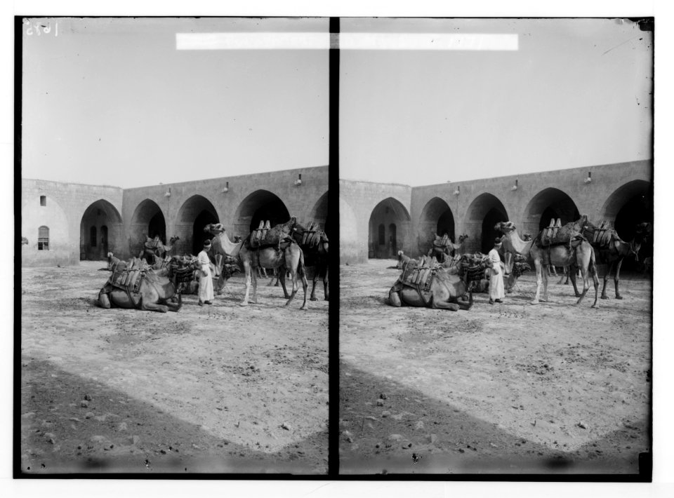 Aleppo (Haleb) and environs. Caravansary LOC matpc.02167