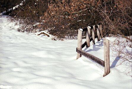 Cold frost wood