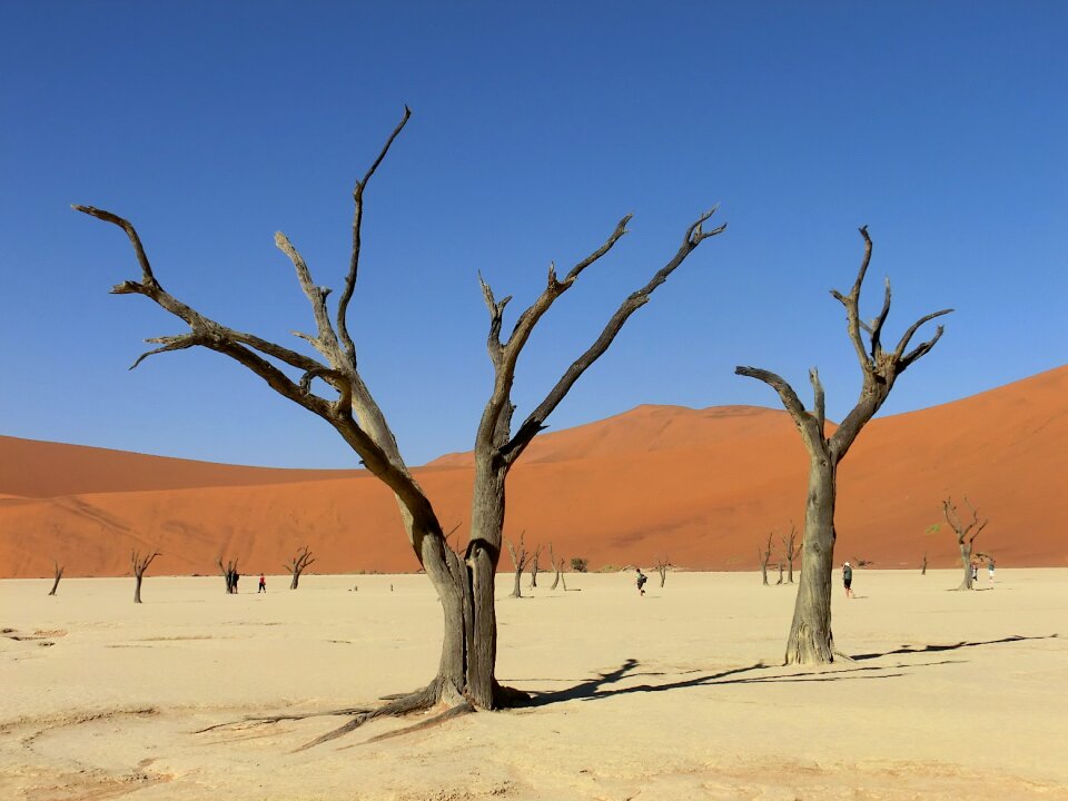 Drought clay pan dune