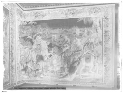Alexandersviten - Skoklosters slott - 51631-negative