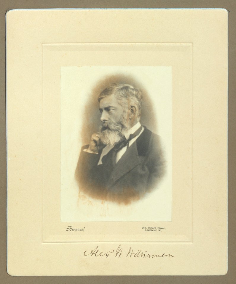Alexander William Williamson, ante 1904 - Accademia delle Scienze di Torino 0116