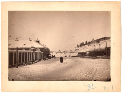 Alexandrofski central prison about sixty versts from Irkutsk LCCN99615472
