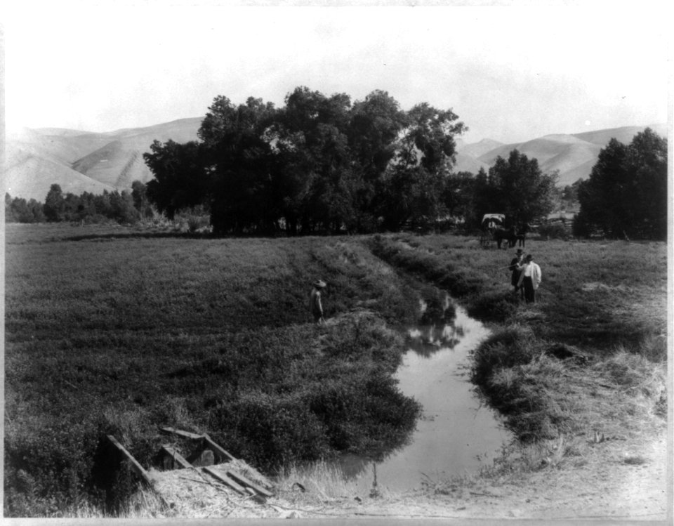 Alfalfa field & irrigation ditch, Rio Bravo Ranch LCCN2006675578