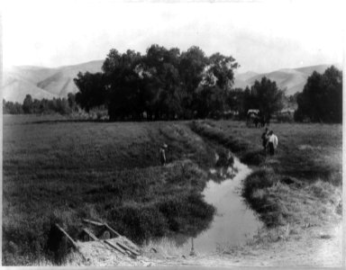 Alfalfa field & irrigation ditch, Rio Bravo Ranch LCCN2006675578