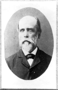 Alfred Iverson, 1829-1911 LCCN2002711821
