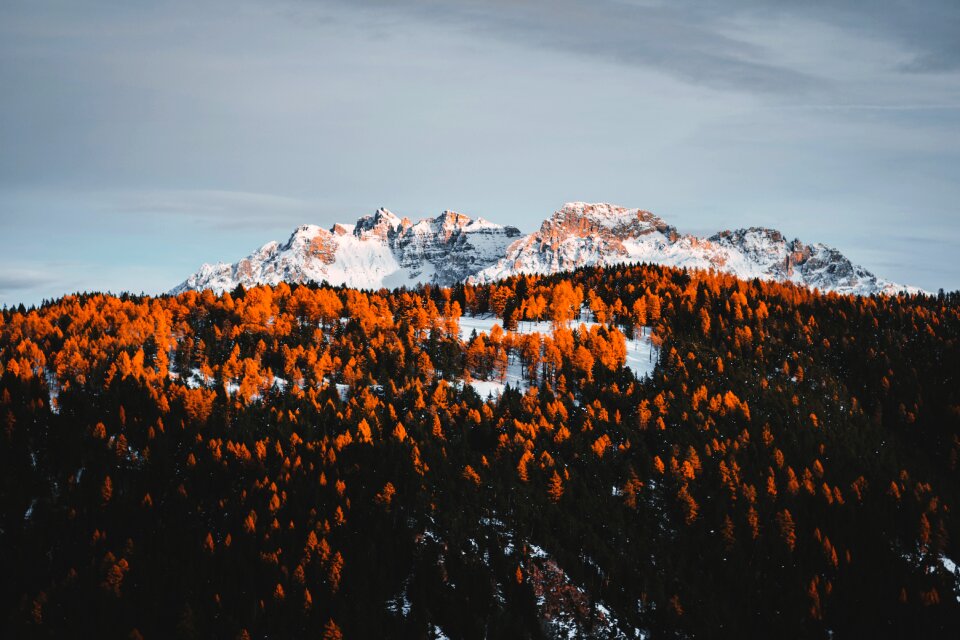 A bird's eye view outdoor nature photo