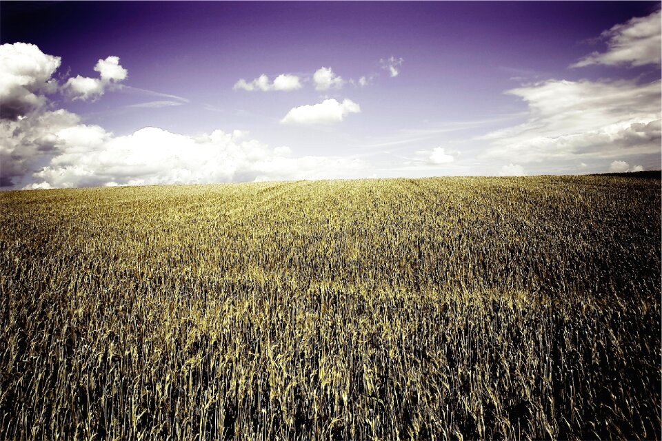 Country rural blue sky