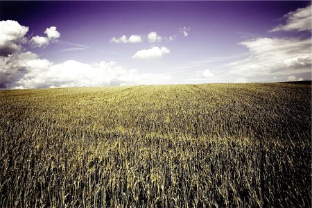Country rural blue sky