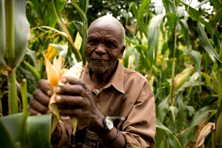 Alfred Masinde is proud to have tested a new variety of maize (8330551950)