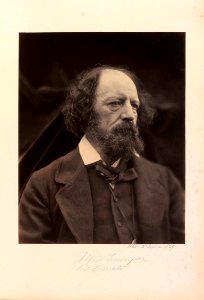 Alfred Tennyson by Julia Margaret Cameron