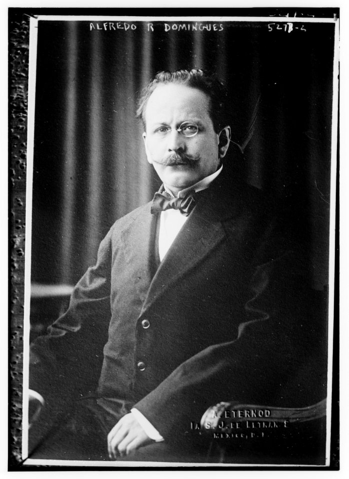 Alfredo R. Domingues LCCN2014711281