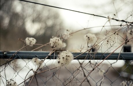 Fence danger outdoors