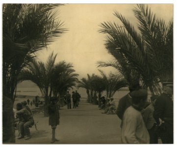 Algeria. Phillipville LCCN2004674274