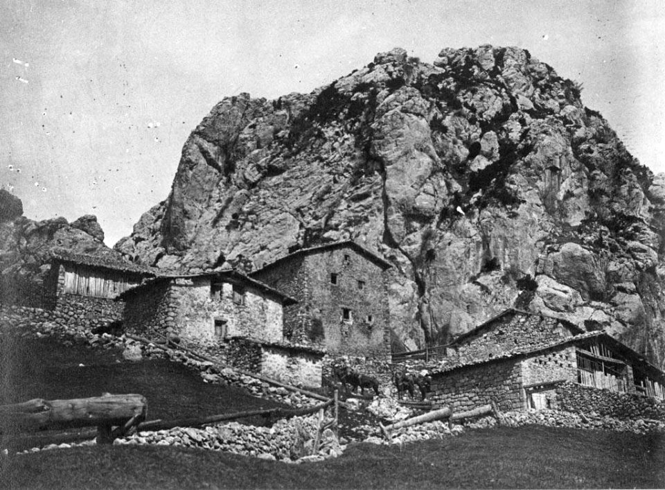 Algunes cases de Peguera i bestiar