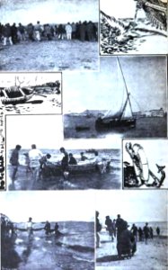Alicante. 20. La pesca del bou