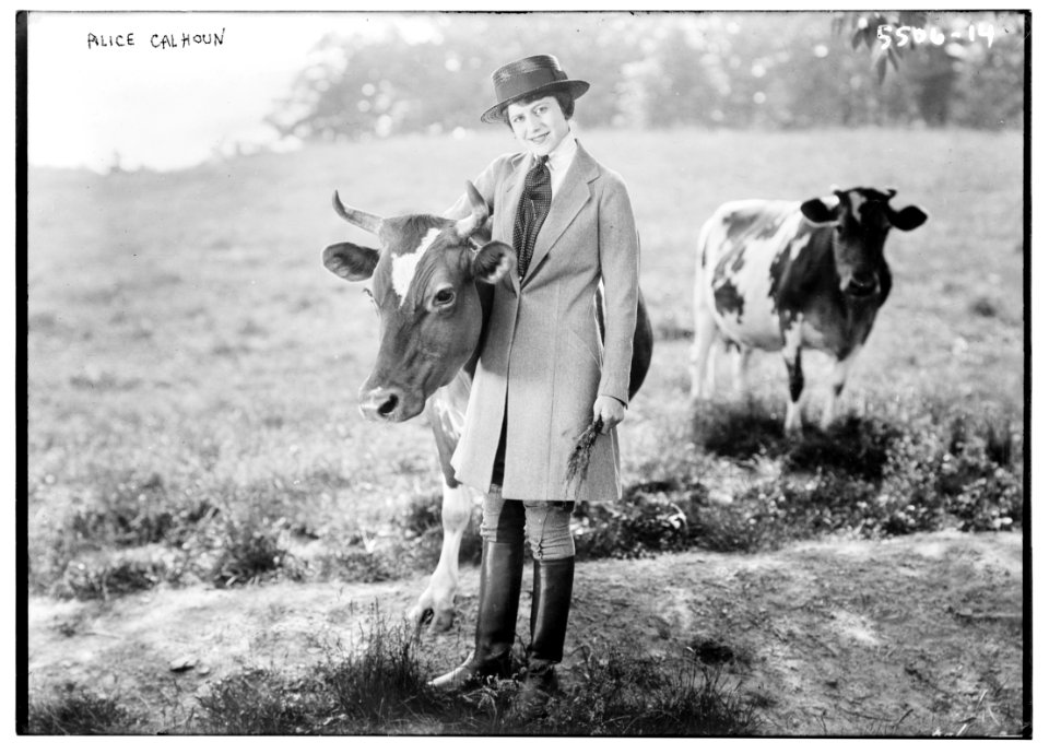 Alice Calhoun (with cow) LCCN2014712926