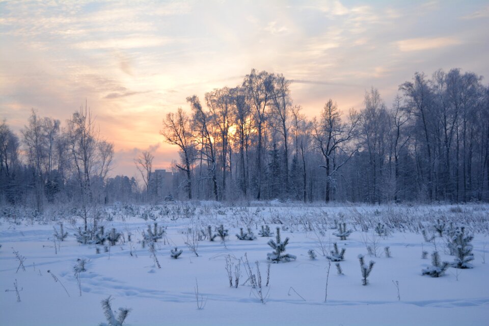 Russia snow sunset