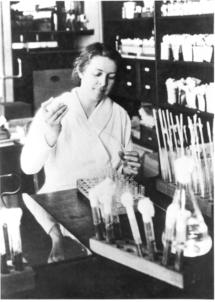 Alice Evans (1881-1975) (33967909352)