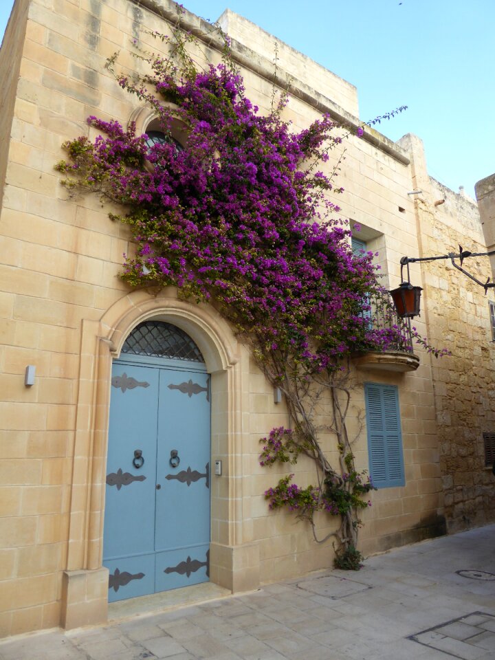 Architecture building house