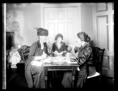 Alice Paul at lunch LCCN2016823610 photo