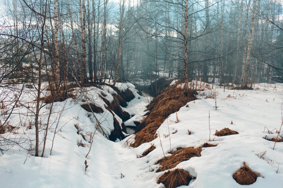 Nature snow winter