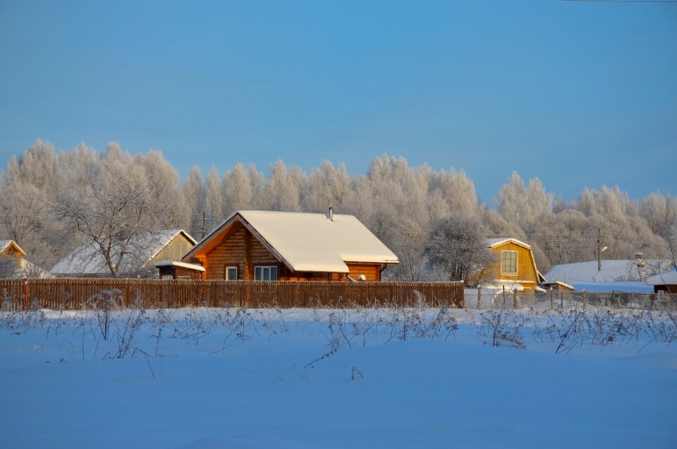 Shack bungalow nature photo