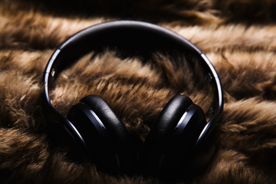 Wildlife nature headphones
