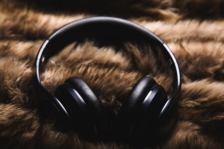 Wildlife nature headphones