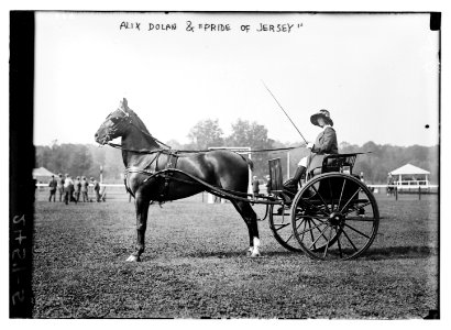 Alix Dolan & Pride of Jersey LCCN2014690936
