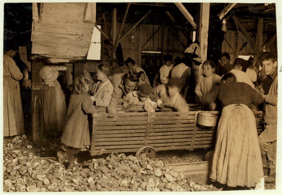 All are oyster-shuckers in Barataria Canning Company. The boy reaching into the car is Bill May, five years old, who makes 15 cents a day, 'when he wants to work.' LOC cph.3a01055