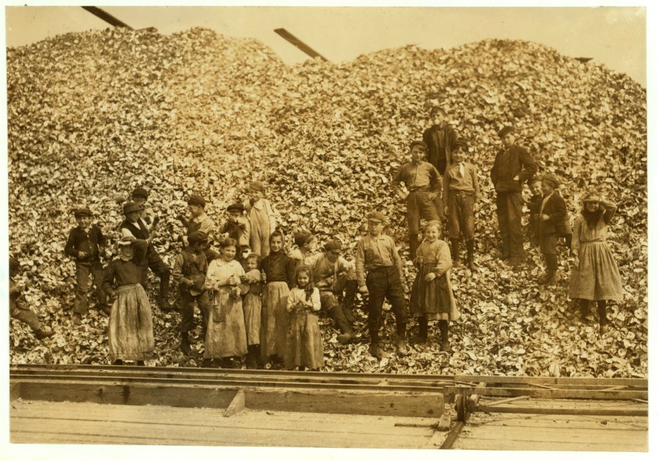All these children (except babies) shuck oysters and tend babies at the Pass Packing Co. I saw them all at work there long before daybreak. Photos taken at noon in the absence of the Supt. LOC cph.3a48139