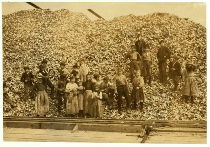 All these children (except babies) shuck oysters and tend babies at the Pass Packing Co. I saw them all at work there long before daybreak. Photos taken at noon in the absence of the Supt. LOC cph.3a48139