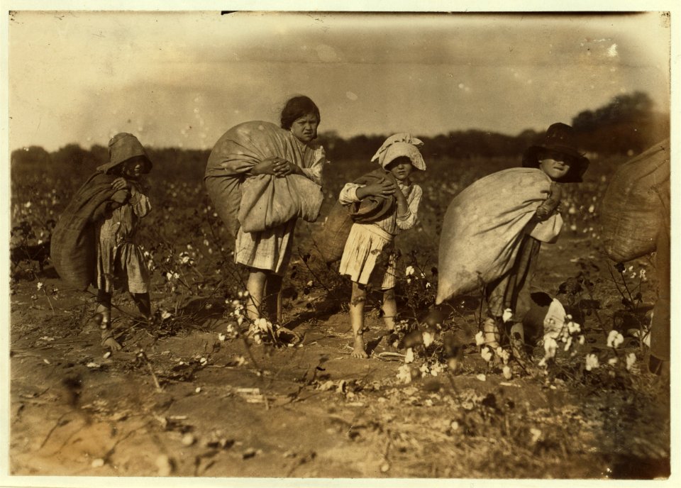 All these children five years, six years, seven years, nine years and two a little older, were picking cotton on H.M. Lane's farm Bells, Tex. Only one adult, an aunt was picking. Father was LOC cph.3a20293