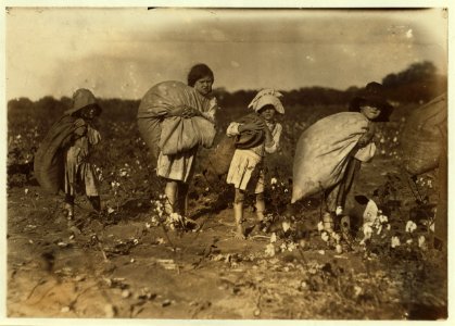 All these children five years, six years, seven years, nine years and two a little older, were picking cotton on H.M. Lane's farm Bells, Tex. Only one adult, an aunt was picking. Father was LOC cph.3a20293