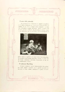 Alla ricerca dell'Elefante bianco 2