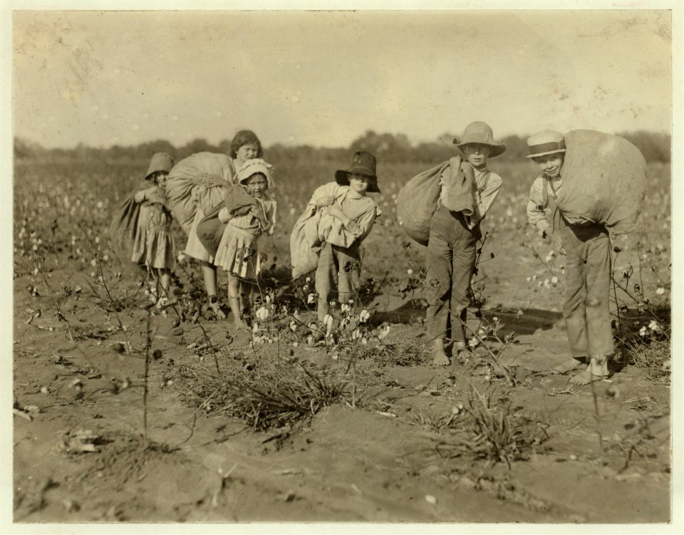 All these children five years, six years, seven years, nine years and two a little older, were picking cotton on H.M. Lane's farm Bells, Tex. Only one adult, an aunt was picking. Father was LOC cph.3b11413