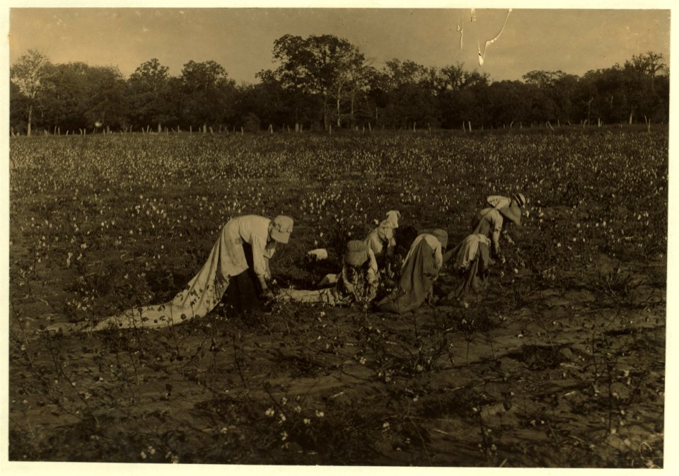 All these children five years, six years, seven years, nine years and two a little older, were picking cotton on H.M. Lane's farm Bells, Tex. Only one adult, an aunt was picking. Father was LOC nclc.00203
