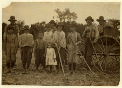 All these children were working in the sugar beets for Louis Startz, a farmer near Fond du Lac, Wisconsin. The children are brought out from the nearby town to work the beets. See Hine LOC nclc.00275
