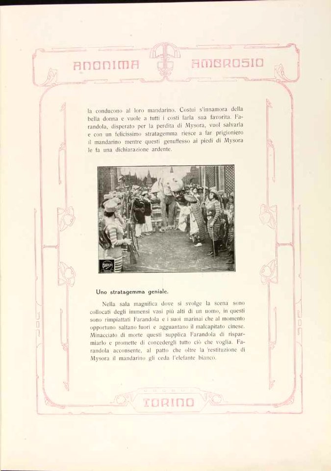 Alla ricerca dell'Elefante bianco 5
