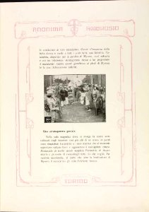 Alla ricerca dell'Elefante bianco 5