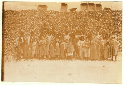 All these shuck oysters in the Dunbar Cannery. They began work about 3-00 A.M., and worked until about 5-00 P.M. with half an hour for lunch at noon. The great hill of oyster shells is but LOC nclc.00913