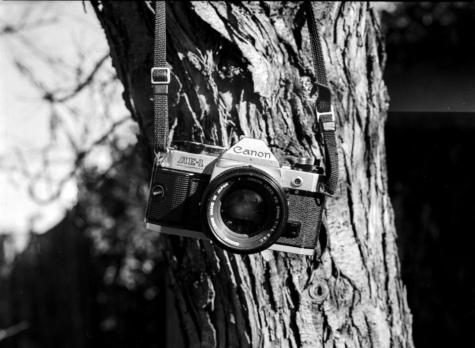 Industry nature environment