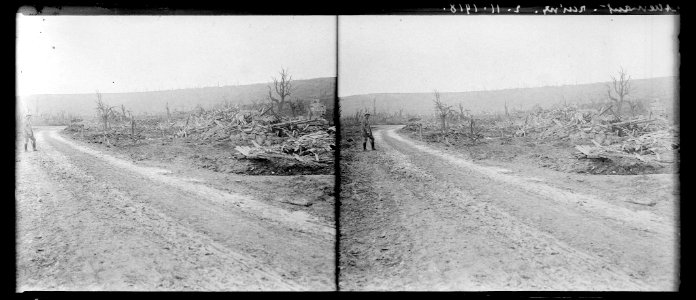 Allemant. Ruine 11-2-18 - Fonds Berthelé - 49Fi1276