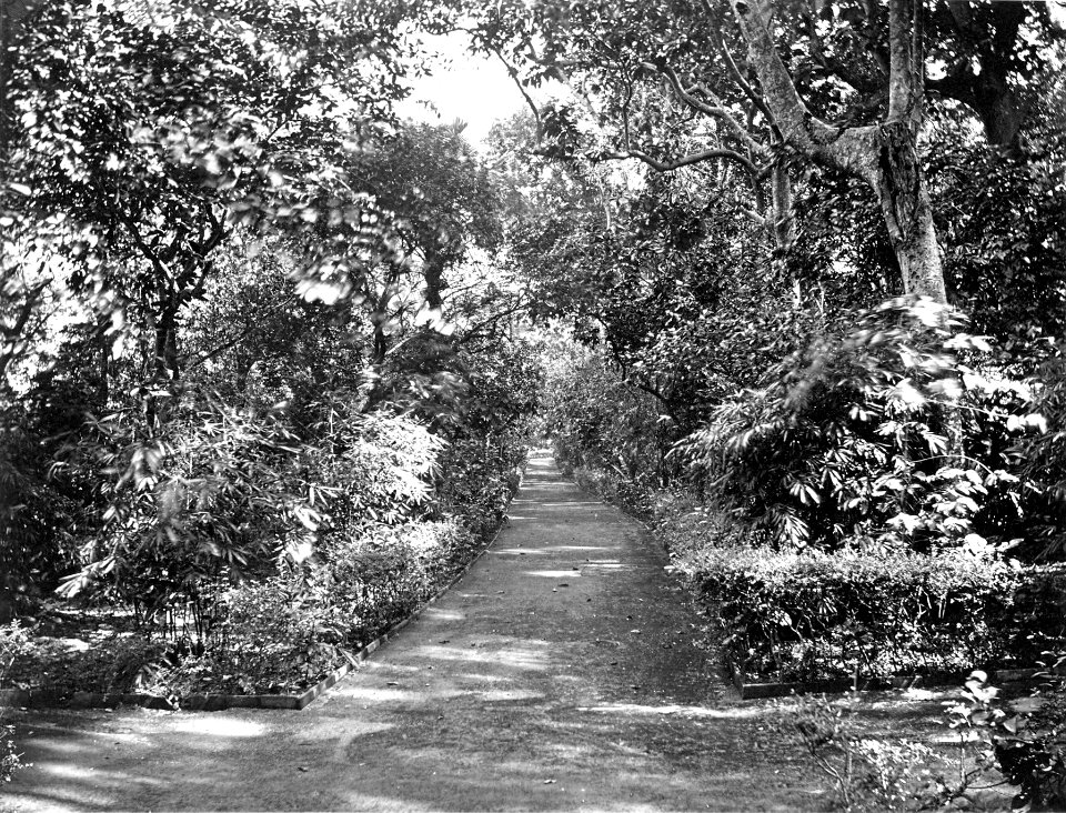 Alley in Camoens Garden, Macao