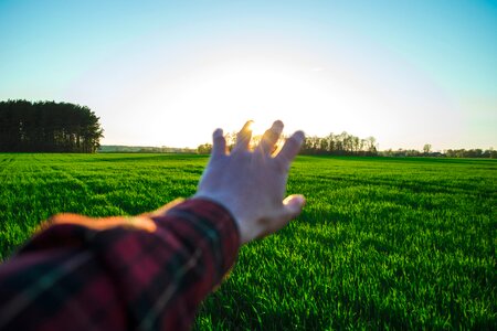 Sunlight sunshine morning photo